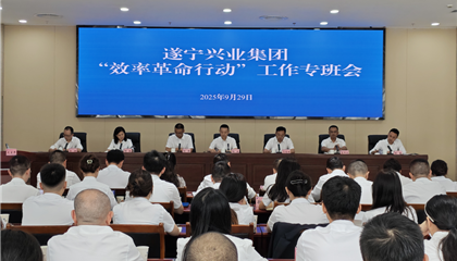 遂寧興業(yè)集團(tuán)召開(kāi) “效率革命行動(dòng)”工作專(zhuān)班會(huì)議